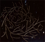 23.png
